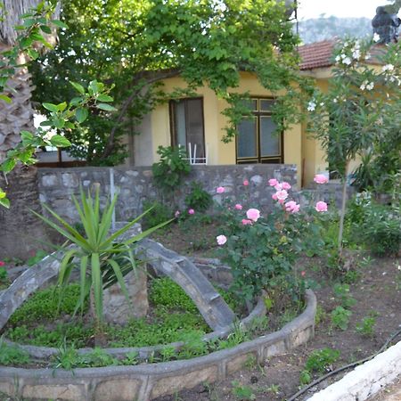 Dalyan Patio Hotel Ngoại thất bức ảnh