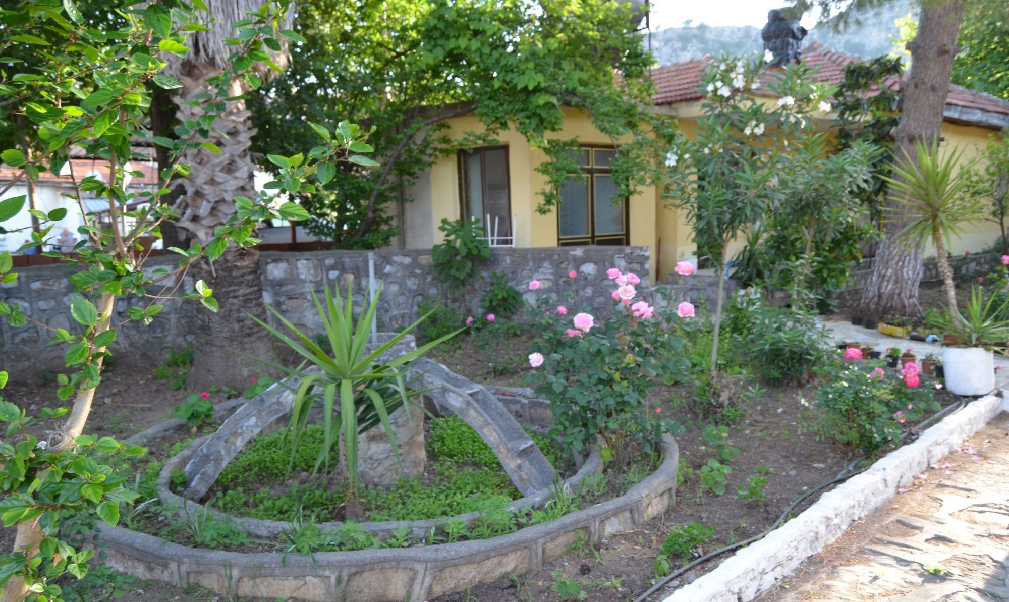 Dalyan Patio Hotel Ngoại thất bức ảnh