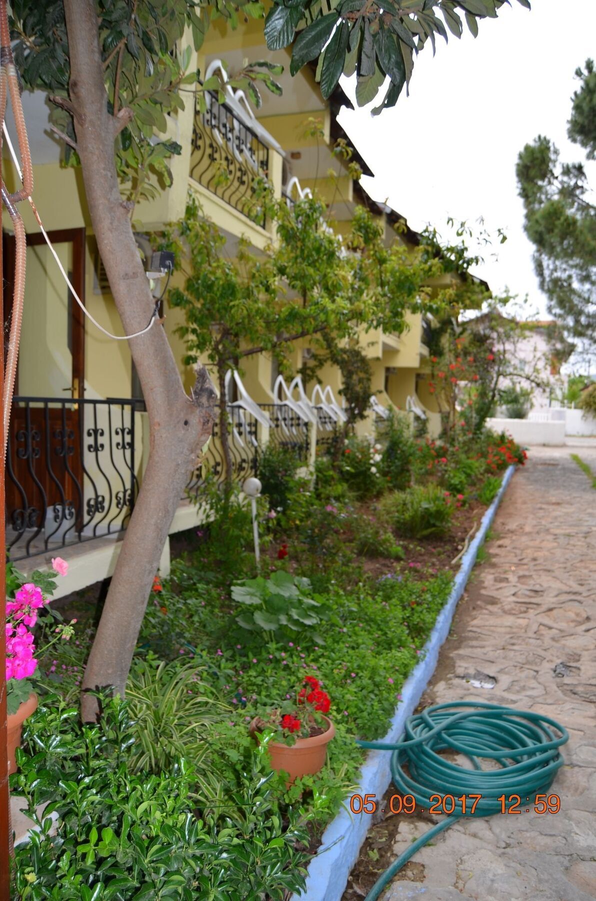 Dalyan Patio Hotel Ngoại thất bức ảnh